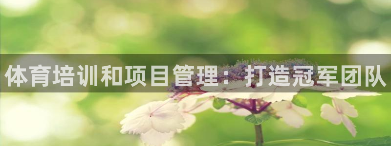 欧陆娱乐代理多少个点位可以赚钱：体育培训和项目管理：