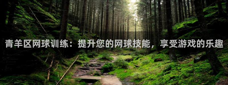 欧陆娱乐总代理是谁：青羊区网球训练：提升您的网球技能
