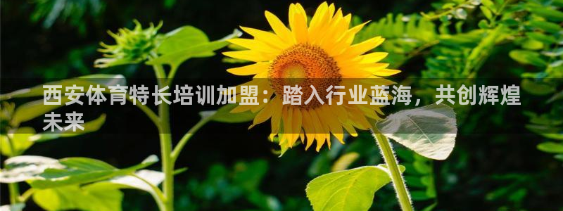 欧陆娱乐安全吗