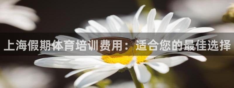 欧陆娱乐是干什么的