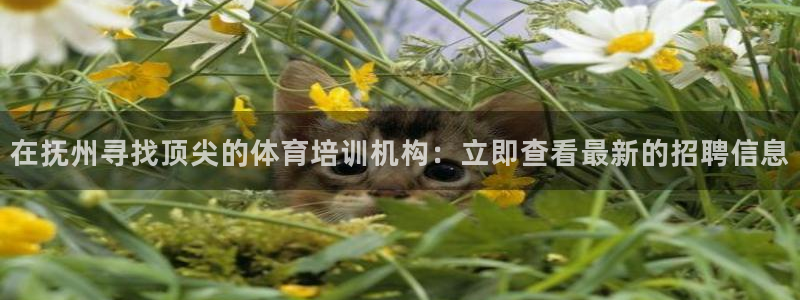 欧陆娱乐客服电话人工服务电话：在抚州寻找顶尖的体育培