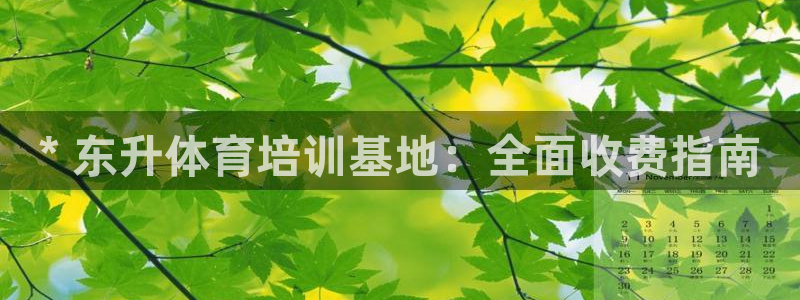 欧陆娱乐安全?：* 东升体育培训基地：全面收费指南