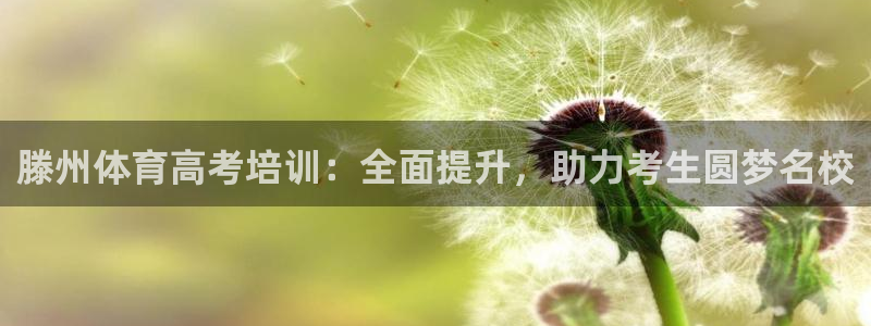 欧陆娱乐欢迎访问：滕州体育高考培训：全面提升，助力考