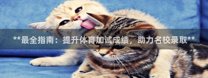 欧陆娱乐怎么注册会员账号：**最全指南：提升体育加试