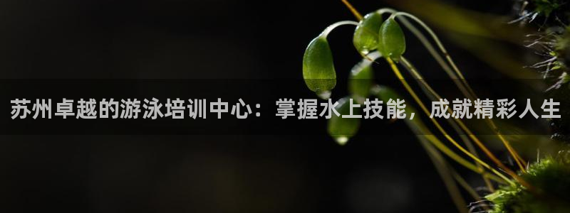 欧陆软件官网：苏州卓越的游泳培训中心：掌握水上技能，