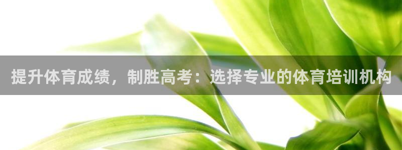 欧陆娱乐挂机项目：提升体育成绩，制胜高考：选择专业的