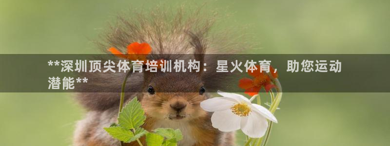 欧陆娱乐计划app官方正版安装下载：**深圳顶尖体育