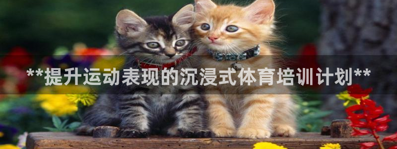 欧陆娱乐总代理是谁：**提升运动表现的沉浸式体育培训