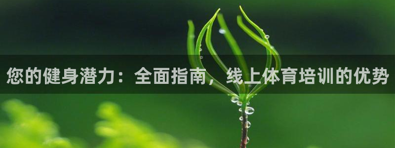 欧陆娱乐测速软件下载：您的健身潜力：全面指南，线上体