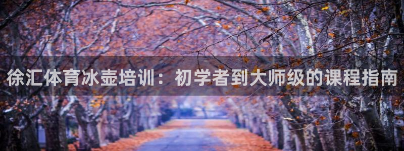欧陆娱乐的故事有哪些：徐汇体育冰壶培训：初学者到大师