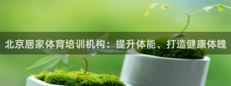 欧陆娱乐百科官网：北京居家体育培训机构：提升体能、打
