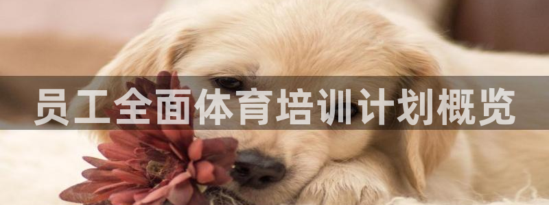 欧陆论坛：员工全面体育培训计划概览
