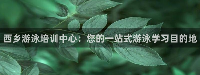 欧陆娱乐登陆平台官网：西乡游泳培训中心：您的一站式游