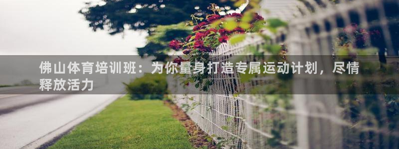 欧陆娱乐是真的假的：佛山体育培训班：为你量身打造专属