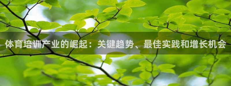 欧陆娱乐官网网址：体育培训产业的崛起：关键趋势、最佳