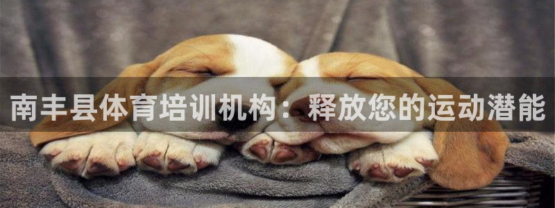 欧陆娱乐挂机项目怎么弄：南丰县体育培训机构：释放您的