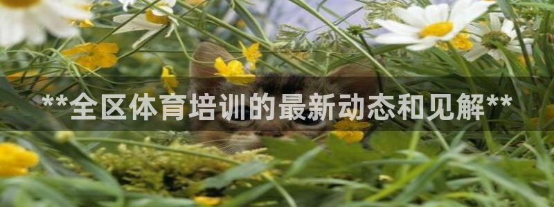 重庆欧陆娱乐有限公司：**全区体育培训的最新动态和见