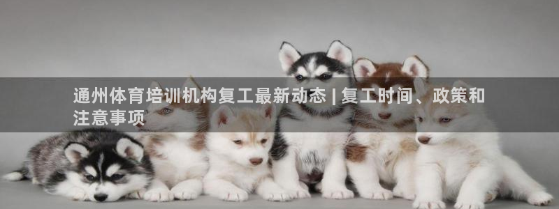 欧陆娱乐总代理电话：通州体育培训机构复工最新动态 |