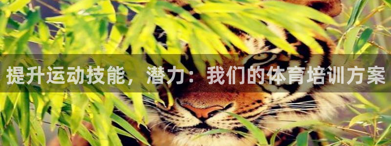 欧陆娱乐安全?：提升运动技能，潜力：我们的体育培训方