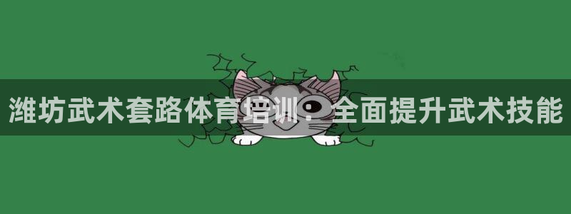 欧陆娱乐官网注册中心在哪：潍坊武术套路体育培训：全面