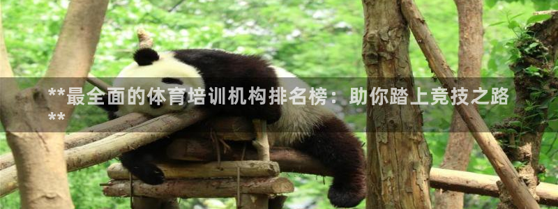 欧陆娱乐能赚钱吗现在：**最全面的体育培训机构排名榜