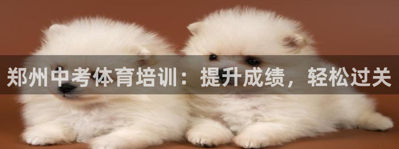 欧陆娱乐有限公司官网：郑州中考体育培训：提升成绩，轻