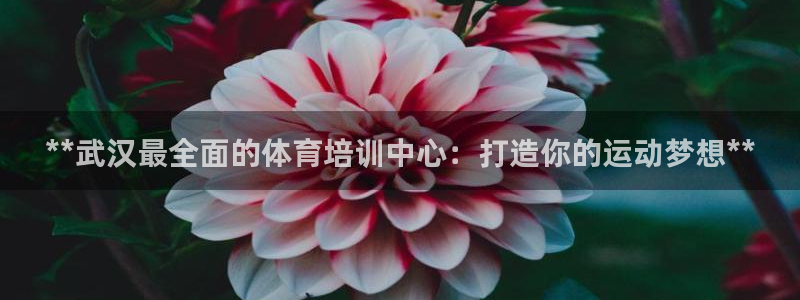 欧陆娱乐安全?：**武汉最全面的体育培训中心：打造你