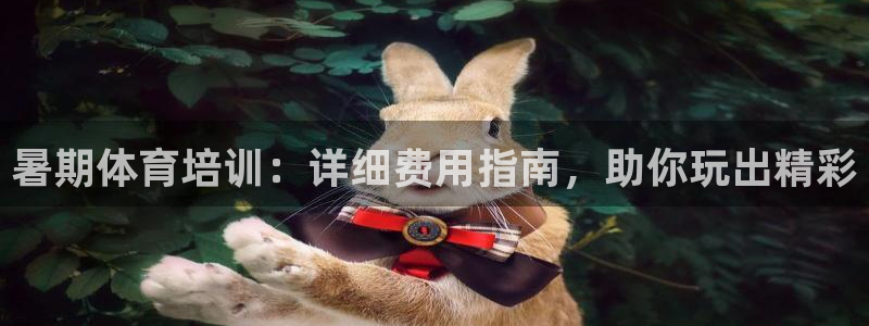 欧陆娱乐计划预测软件：暑期体育培训：详细费用指南，助