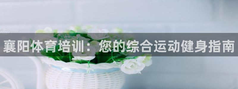欧陆娱乐注册代理：襄阳体育培训：您的综合运动健身指南