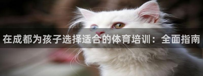 欧陆娱乐挂机怎么玩：在成都为孩子选择适合的体育培训：