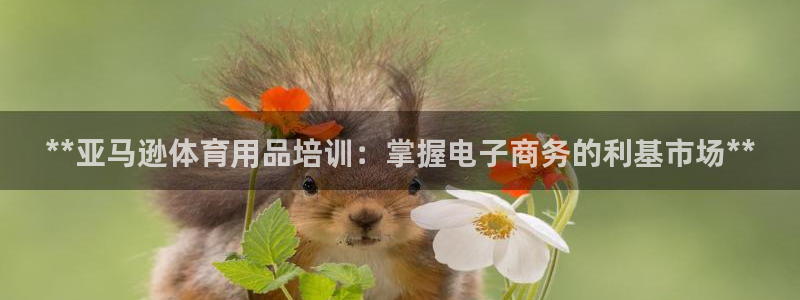 欧陆娱乐代理多少个点位合适：**亚马逊体育用品培训：