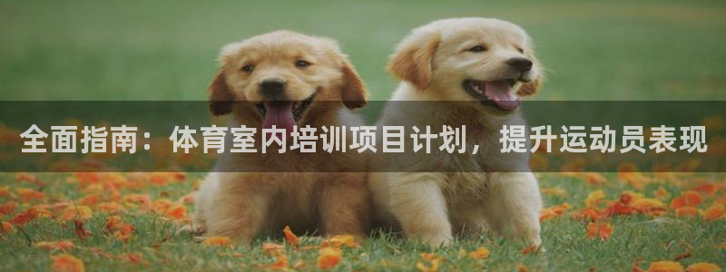欧陆娱乐登陆平台下载：全面指南：体育室内培训项目计划