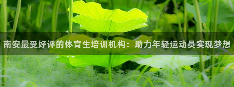 欧陆娱乐测试：南安最受好评的体育生培训机构：助力年轻