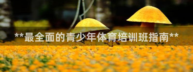 欧陆娱乐注册链接：**最全面的青少年体育培训班指南*