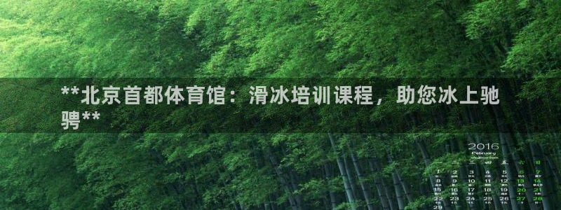 欧陆娱乐游戏：**北京首都体育馆：滑冰培训课程，助您