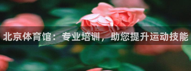欧陆娱乐是正规平台吗安全吗可靠吗可信吗：北京体育馆：