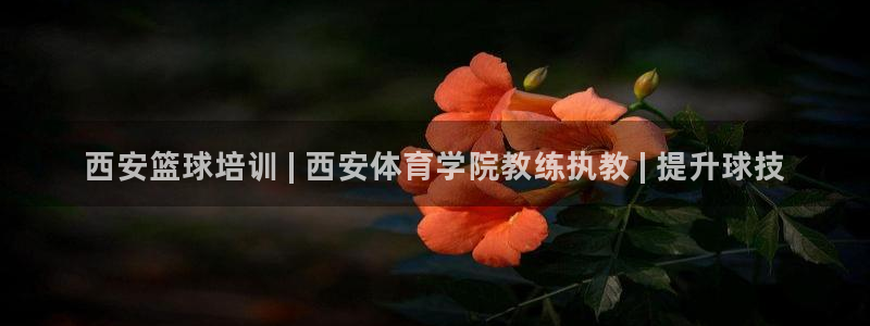 欧陆是什么平台：西安篮球培训 | 西安体育学院教练执