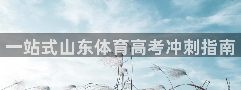 欧陆娱乐官网入口：一站式山东体育高考冲刺指南