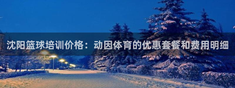欧陆娱乐分分彩：沈阳篮球培训价格：动因体育的优惠套餐