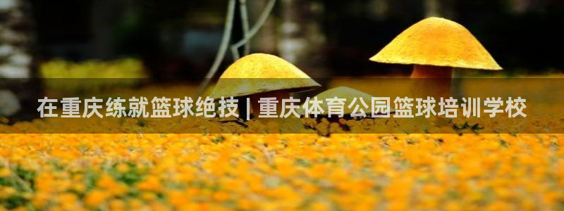 欧陆娱乐计划预测软件有哪些：在重庆练就篮球绝技 | 