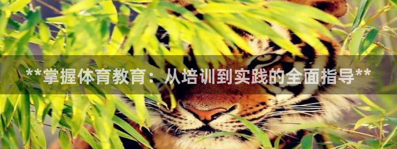 欧陆娱乐能赚钱吗现在：**掌握体育教育：从培训到实践