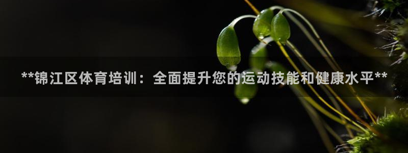 欧陆娱乐请输入USDT地址：**锦江区体育培训：全面