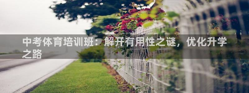 欧陆娱乐登录测速软件：中考体育培训班：解开有用性之谜