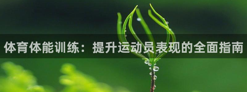 欧陆娱乐打什么方案：体育体能训练：提升运动员表现的全