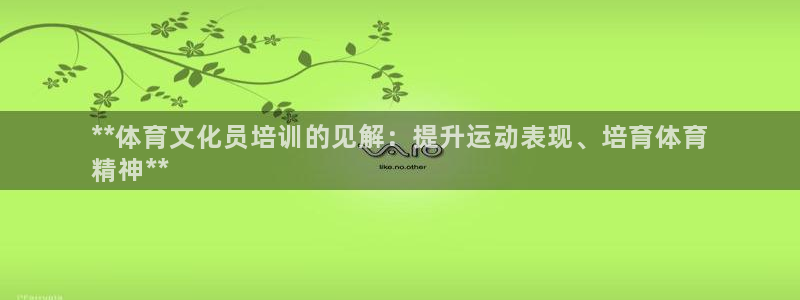 欧陆娱乐脚本：**体育文化员培训的见解：提升运动表现
