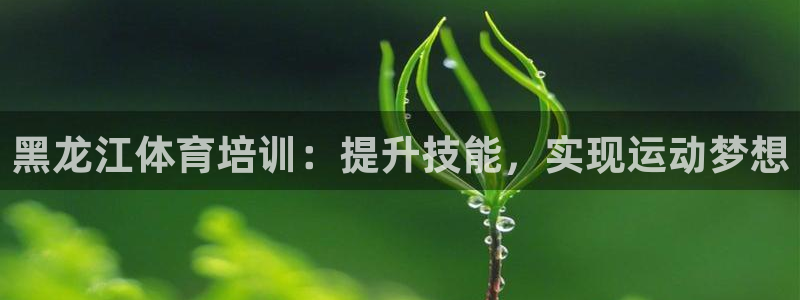 欧陆娱乐公司产品介绍大全：黑龙江体育培训：提升技能，
