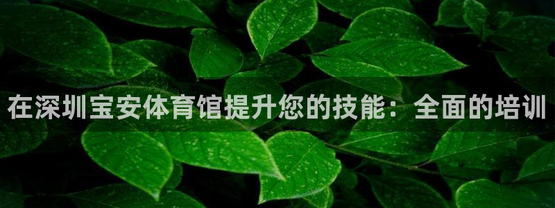 欧陆娱乐打什么方案赚钱：在深圳宝安体育馆提升您的技能