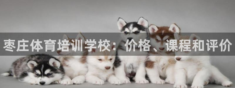 欧陆娱乐注册链接怎么弄：枣庄体育培训学校：价格、课程