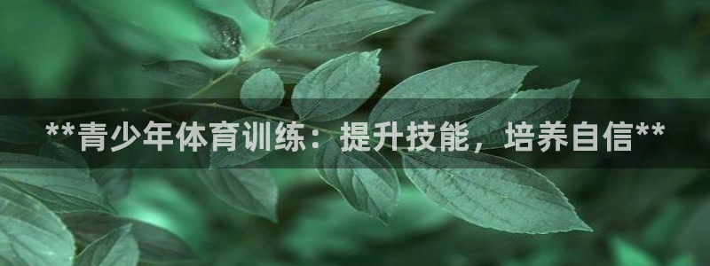 欧陆娱乐的故事：**青少年体育训练：提升技能，培养自
