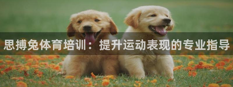 欧陆娱乐推广奖金多少：思搏兔体育培训：提升运动表现的